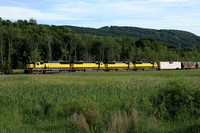 Susquehanna yellowjackets swarm the Vernon Flats
