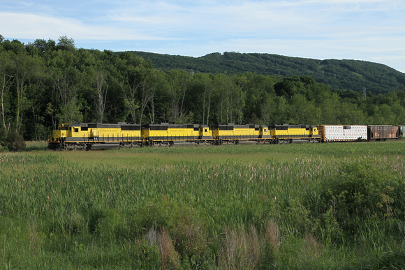 Susquehanna yellowjackets swarm the Vernon Flats